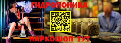 крисы Коммунар