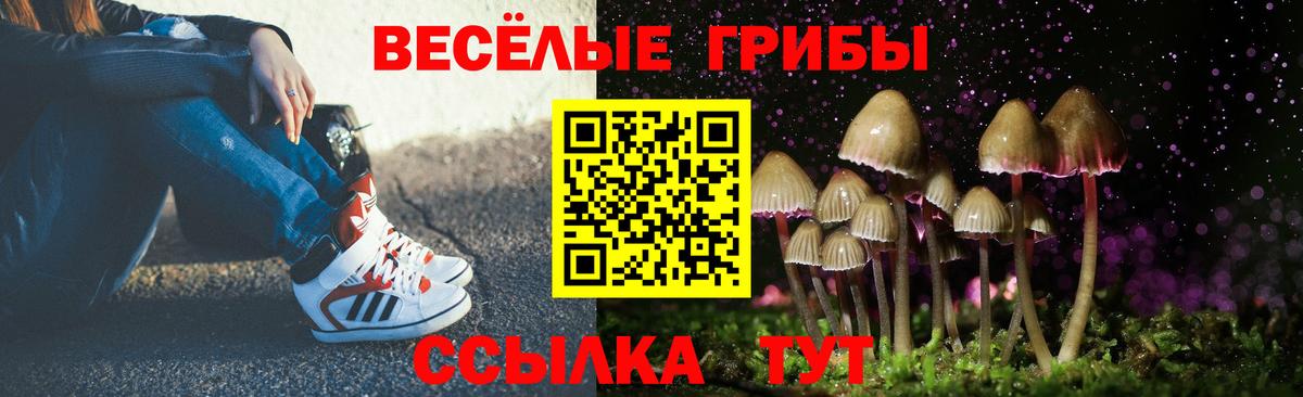 Псилоцибиновые грибы GOLDEN TEACHER Кострома